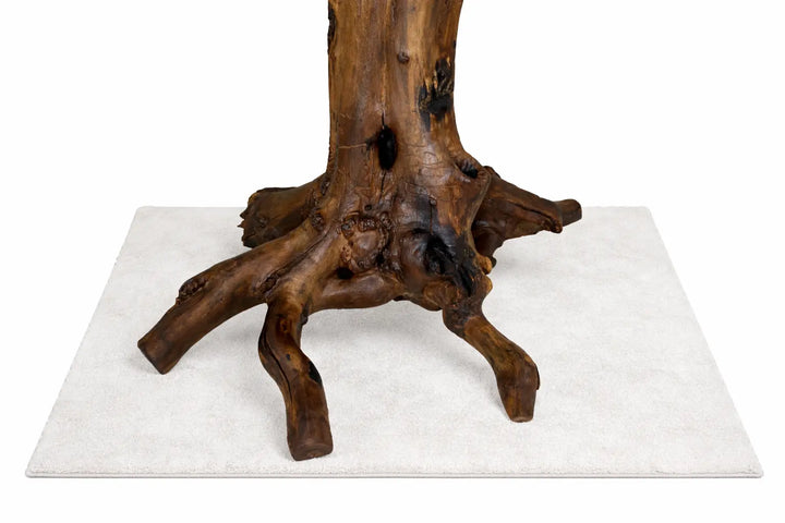 Dark brown tree root base of a dining table  with 5 extending roots and much natural texture and character.