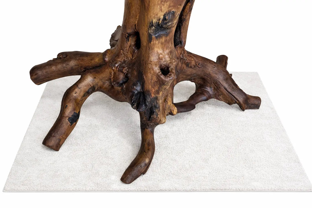 A tree root base to a table that is finished in a natural oil with all kinds of character and texture.  Resting on a white rug with a white background.