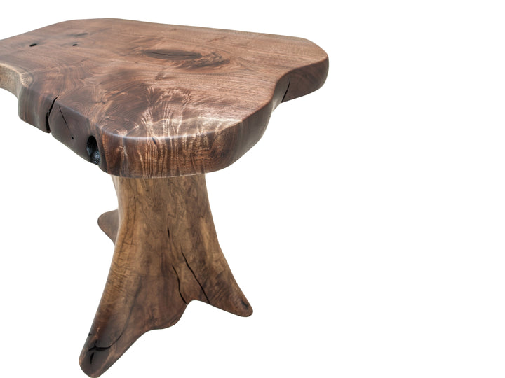 Angled view of a Black Walnut live edge side table with a Black Walnut tree stump base.