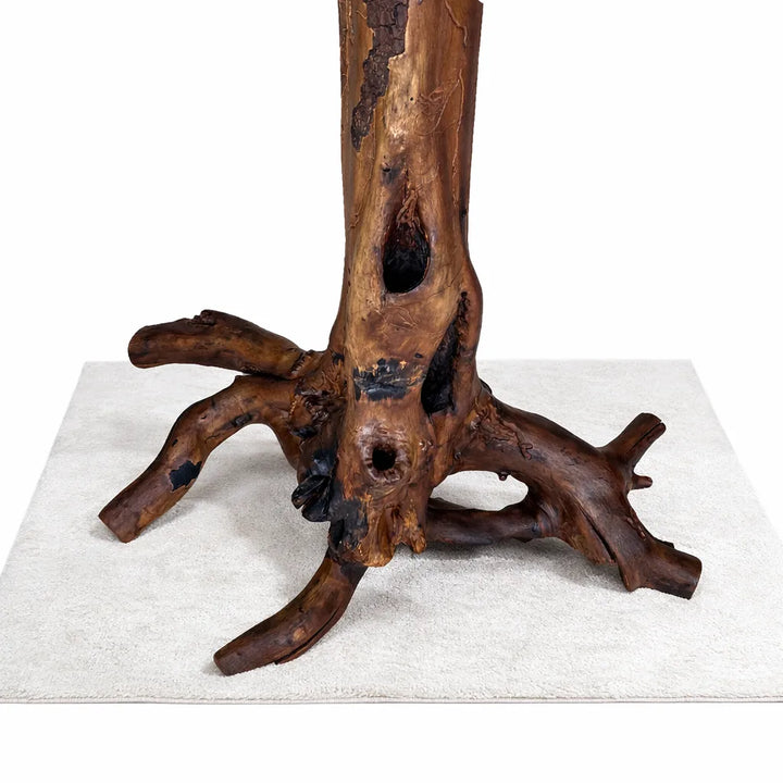 Dark brown tree root base to a table with 4 protruding roots for support.  Knot holes and black patches with much natural character.