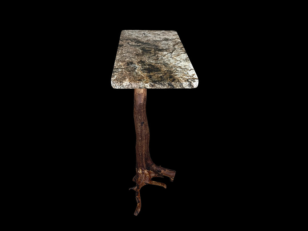 Right side view of a granite console table on a Dogwood tree stump base with a black background.