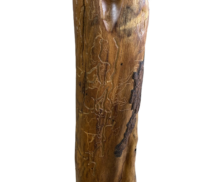 Close up of the main tree support to a dining table with natural grain, texture , and insect trails on a white background.