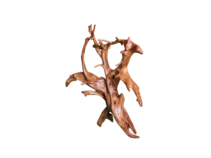 Angled view of oak wall art with extending root structure.