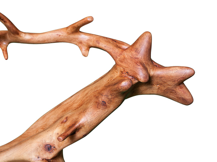 Close up view of joining oak roots on the extremity of a wall hanging.