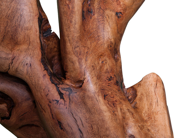 Close up of oak swirling oak grain patterns on root wall art.