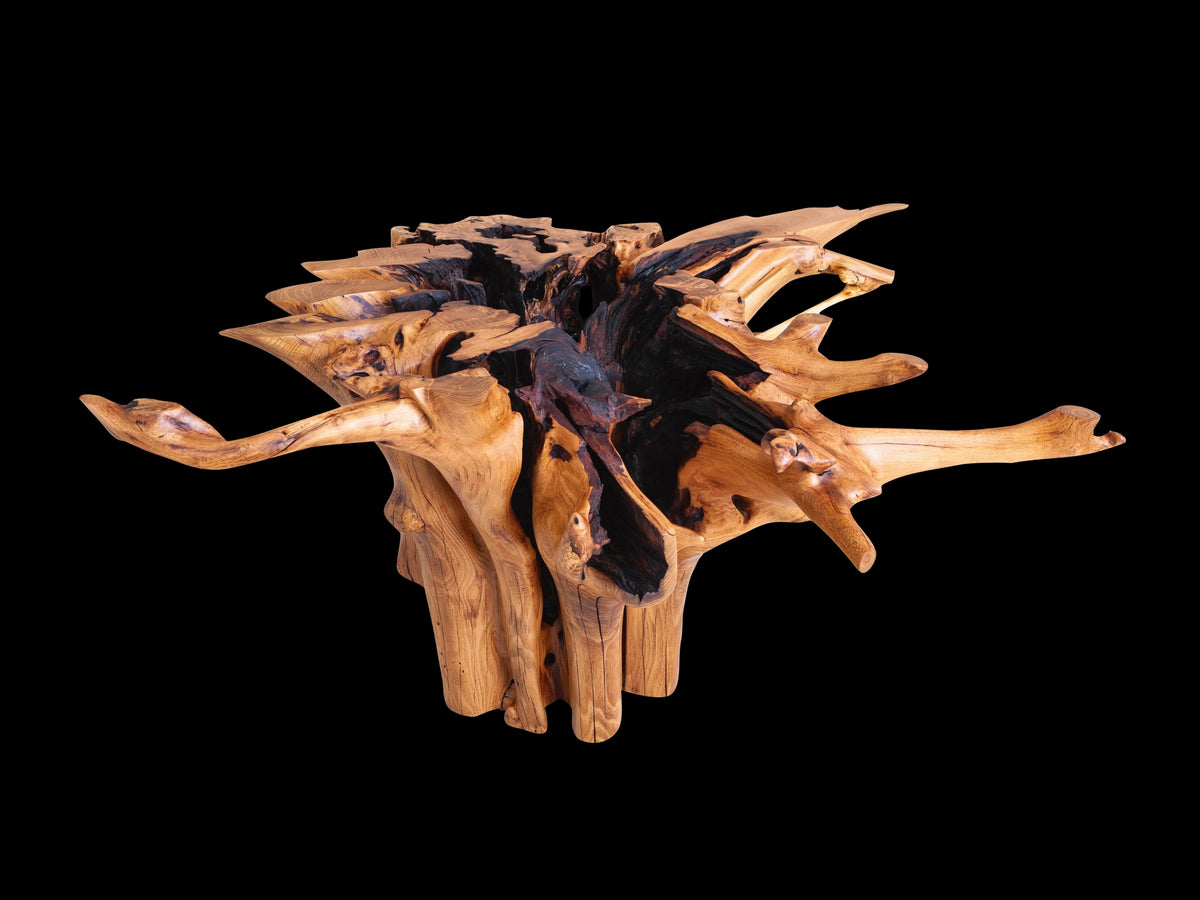 A large conference table made of a tree stump with roots up - a black cavity in the hollow - black  background.