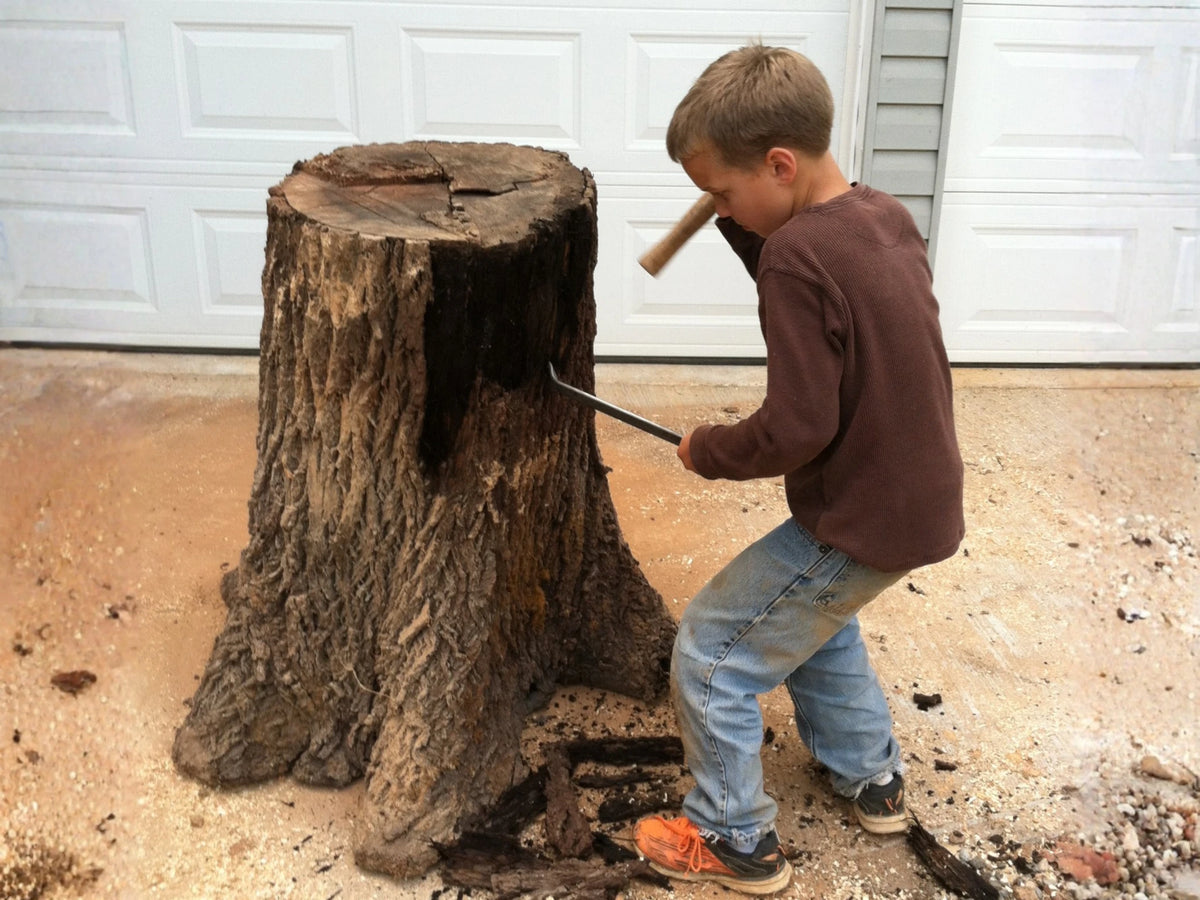 A young boy wearing a brown long-sleeve shirt, blue jeans, and orange sneakers debarking a tree stump.