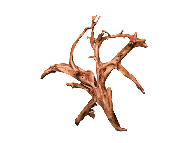 Main front view of a large oak root wall hanging with satin finish.