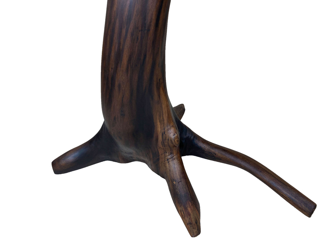 Close-up of dark elegant black walnut tree root base of a dining table.  Grain patterns visible with a white background
