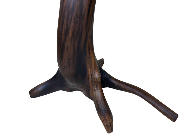 Close-up of dark elegant black walnut tree root base of a dining table.  Grain patterns visible with a white background