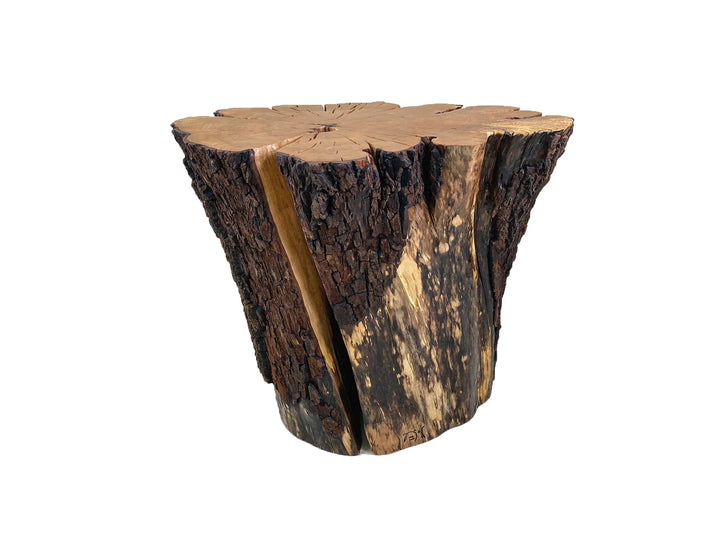 Back side view of a Sourwood coffee table made a of a tree stump with a white background.