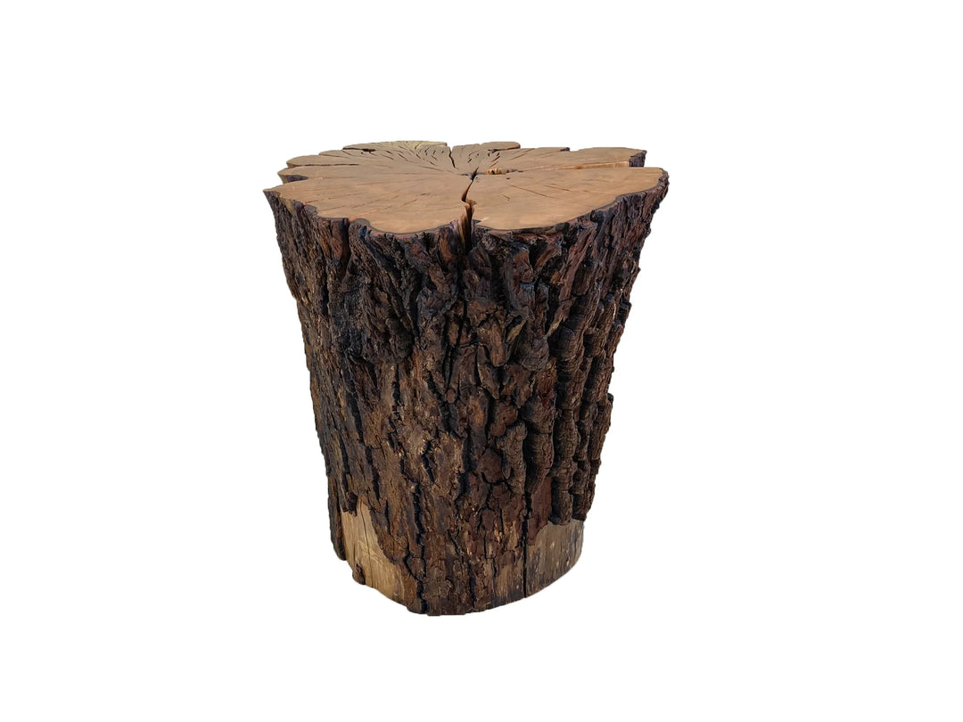Left side view of a Sourwood coffee table with bark intact against a white background.