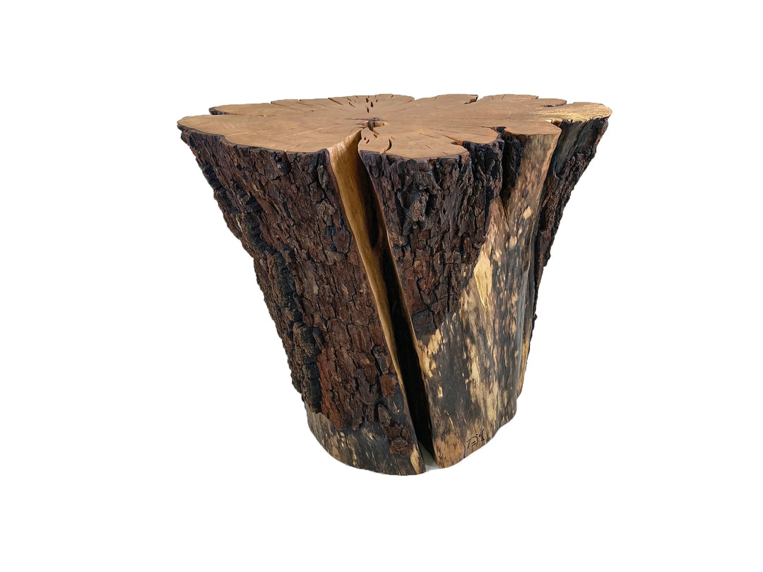 Ride side view of tree stump coffee table with a white background.