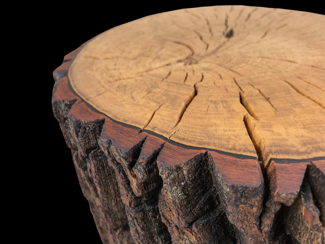 A close-up of a rustic log slice table top with detailed wood grain, natural cracks, and textured bark edges against a solid black background.