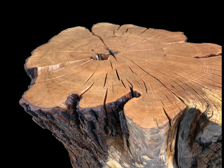 Top section of a Sourwood log coffee table with a black background.