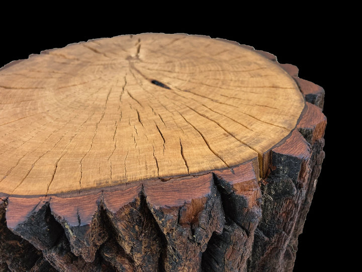 A close-up of the end grain of a  rustic tree stump with a circular, flat-cut top showing detailed wood grain and ring patterns, placed against a solid black background.