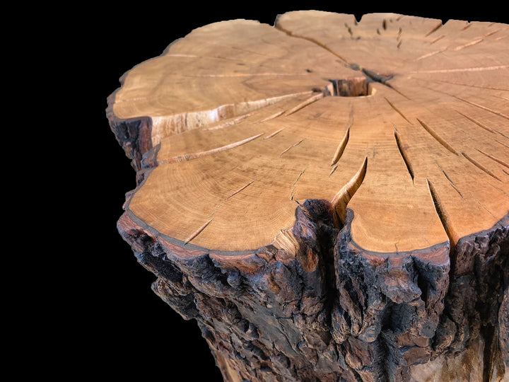 Close up of top section of a Sourwood coffee table with burnt orange end grain.