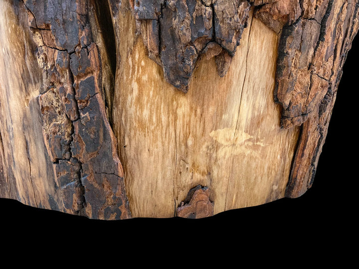 Close up of the base of a side table with bare wood and bark. 