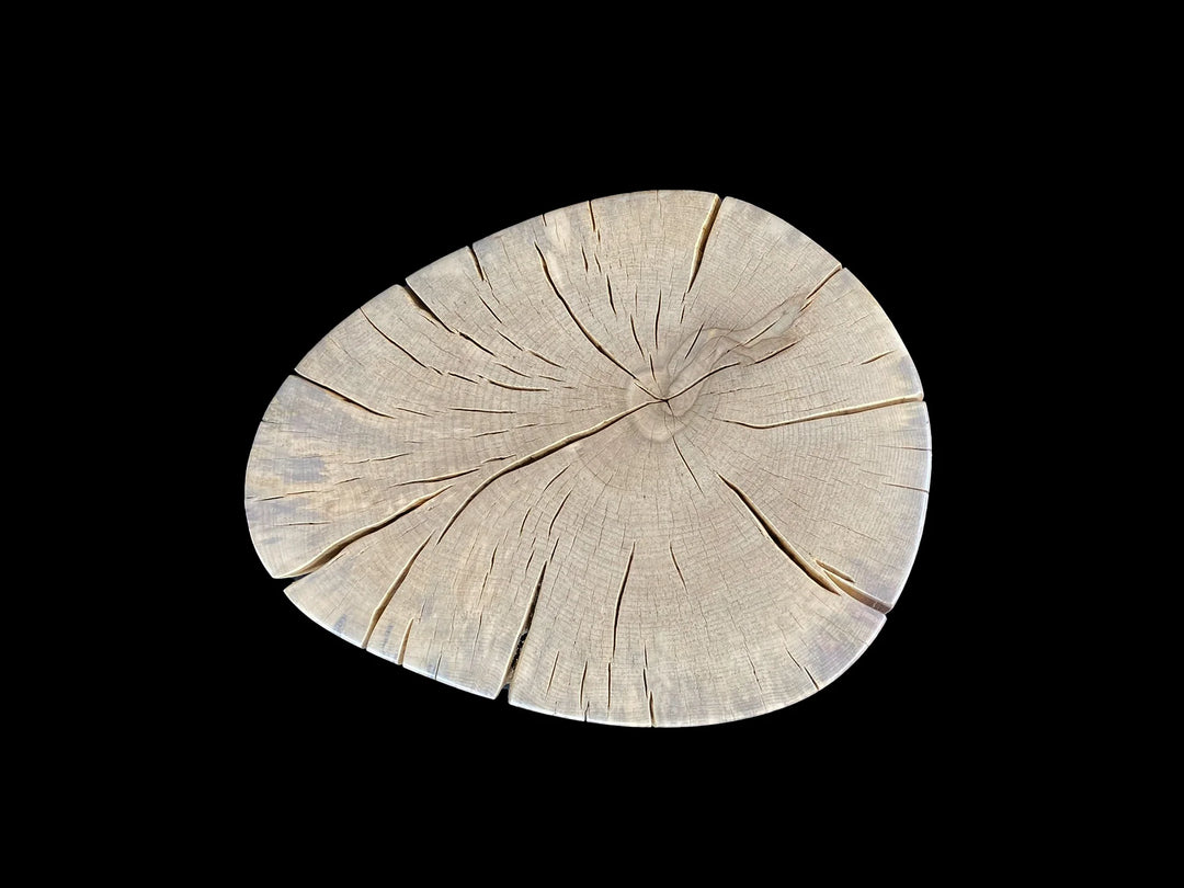 A circular end cross-section of a light-colored tree trunk with visible grain and radial cracks, centered on a solid black background.