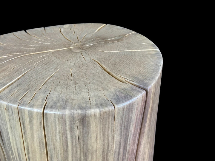 A close-up of a cylindrical wooden stump  log base with visible tree growth rings and natural grain, shown against a solid black background.