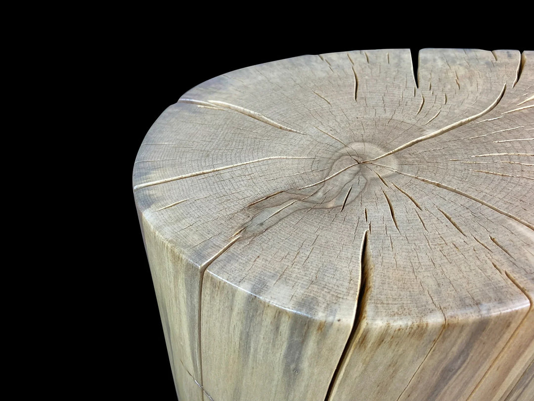 A close-up of a cylindrical wooden stump  log section with visible growth rings and natural grain, photographed against a solid black background.
