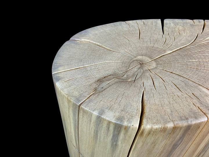 A close-up of a cylindrical wooden stump  log section with visible growth rings and natural grain, photographed against a solid black background.