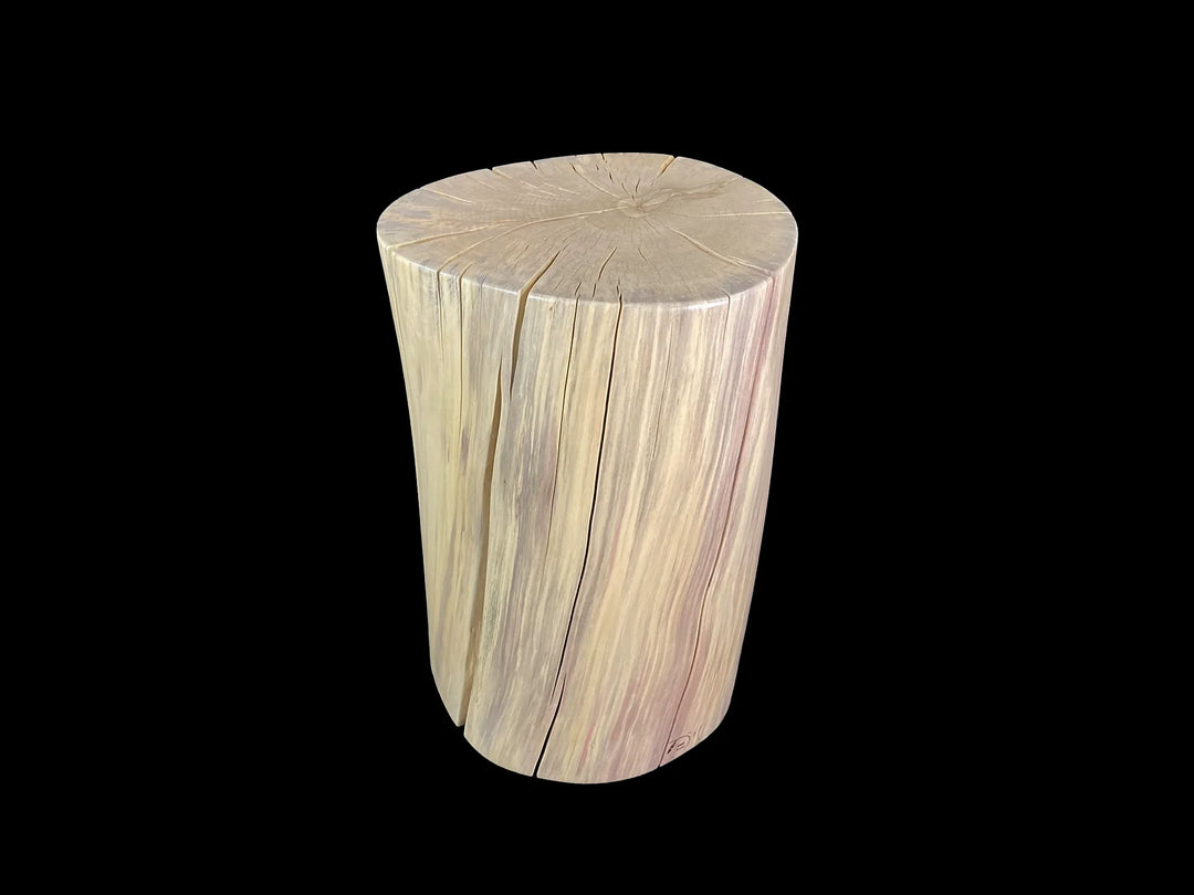 A cylindrical side table made from a natural wood log stump, featuring visible grain patterns and a flat circular top, isolated with a black background.
