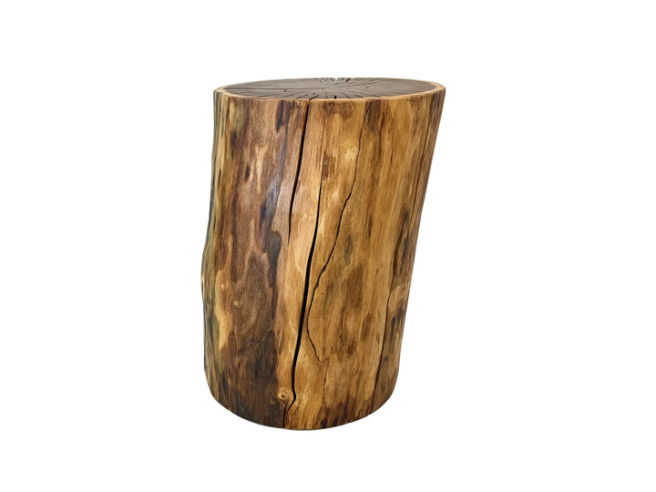 A rustic cylindrical side table made from a natural log stump, featuring a warm brown and golden-brown wood grain pattern, shown on a white background.