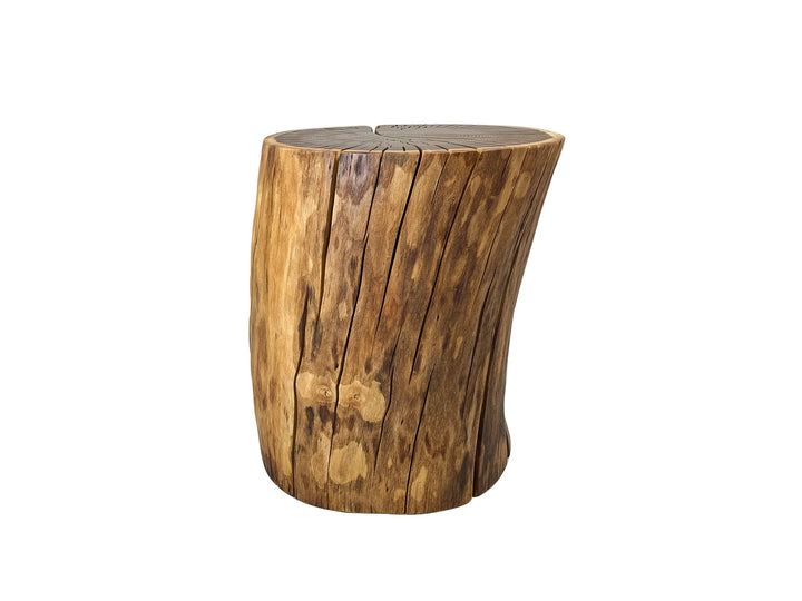 A rustic tree stump side table with a natural wood grain finish, isolated on a white background.