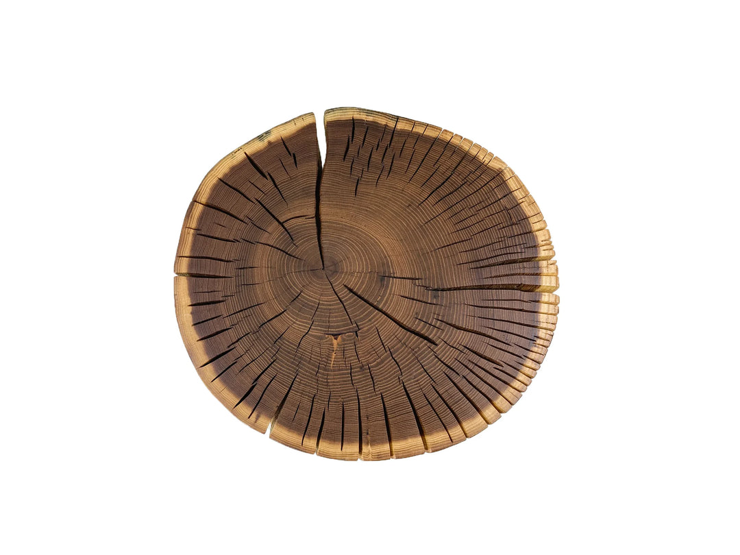Top view of the end grain of a locust side table showing visible tree growth rings and natural cracks photgraphed on a white background.