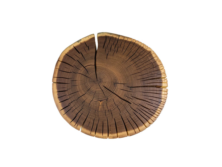 Top view of the end grain of a locust side table showing visible tree growth rings and natural cracks photgraphed on a white background.