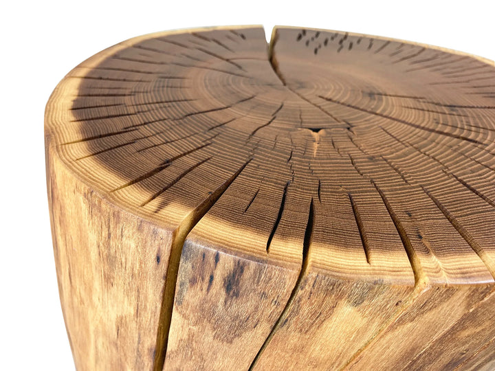 Close-up of a rustic wooden stump table  showing the detailed tree growth rings and natural grain on a white background.