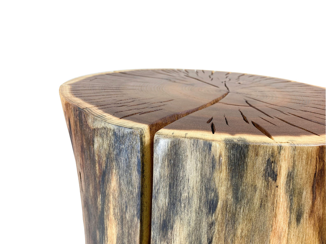 Close-up of a rustic tree stump side table with a natural wood grain finish.  Photographed on a white background.