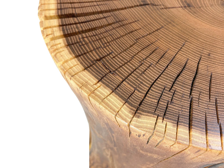 Close-up of the top end grain of a log side table showing detailed wood grain, natural knots, and a dark outer ring, photographed against a white background.