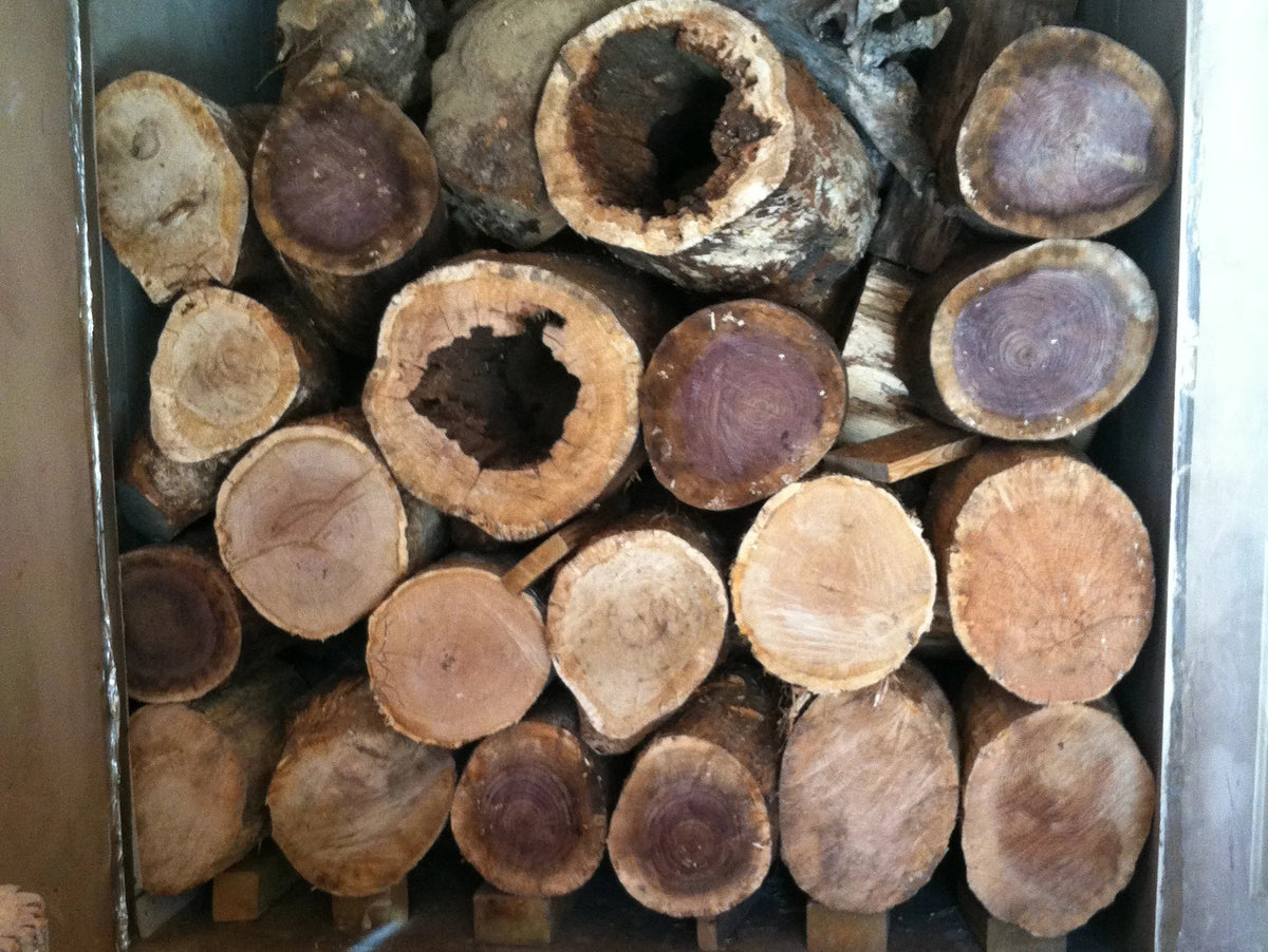 A close-up view of stacked cut logs with visible tree rings and natural bark, arranged inside a drying kiln.