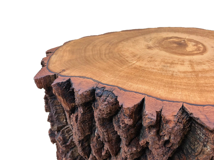Close up of a top portion of a Sourwood side table with a white background.