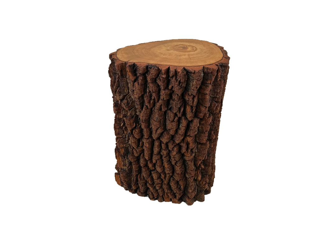 Left side view of Sourwood side table made of a log section with white background.