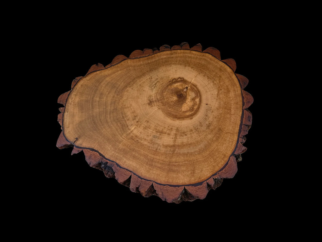 Top view of a Sourwood side table with burnt orange end grain.