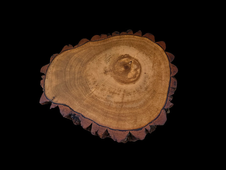 Top view of a Sourwood side table with burnt orange end grain.