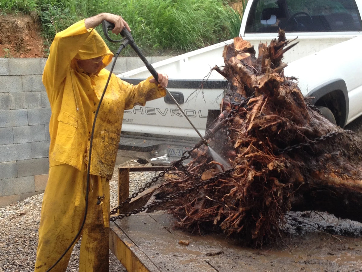 A man a yellow rain suit pressure washing a large tree stump bound with a chain to a flatbed trailer.