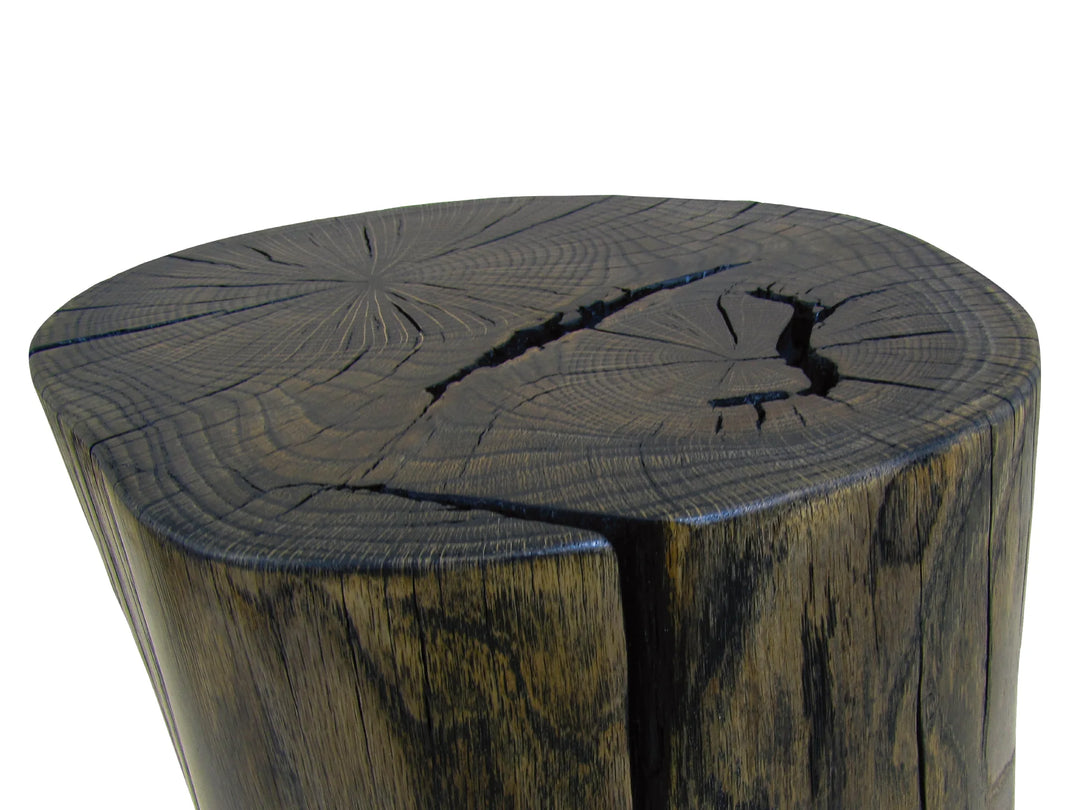 A rustic dark wood cylindrical side table with a thick cut tree stump top, featuring prominent natural cracks and detailed wood grain patterns on a white background.