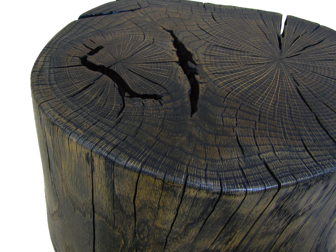 A close-up of a dark, rustic wooden stump with prominent tree growth rings and natural cracks on the top surface, placed on a white background.