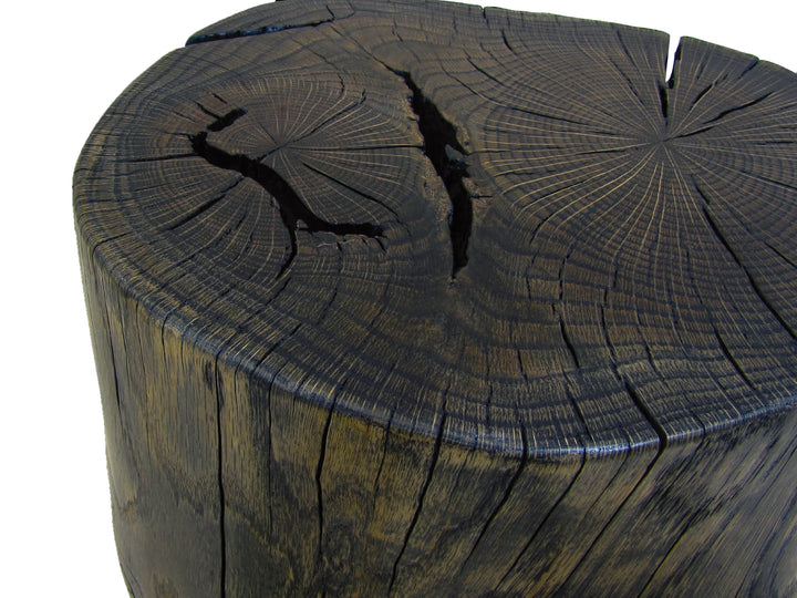 A close-up of a dark, rustic wooden stump with prominent tree growth rings and natural cracks on the top surface, placed on a white background.