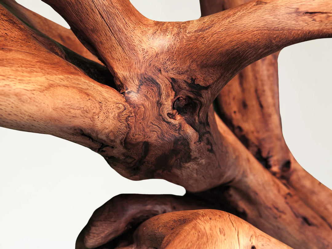 Twisted oak roots with a satin tung oil finish.