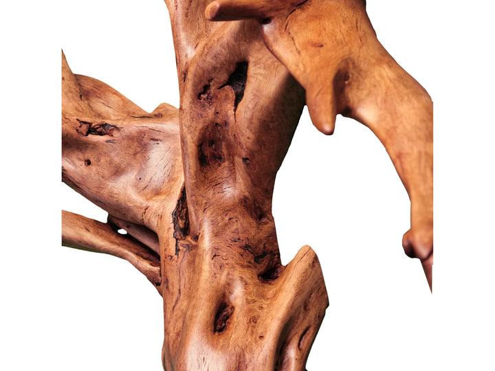 Side view of oak root wall art.