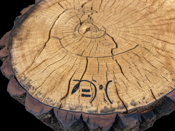 A close-up of a natural tree stump cross-section with visible growth rings, bark edges, and a burned brand near the bottom center, shown against a black background.