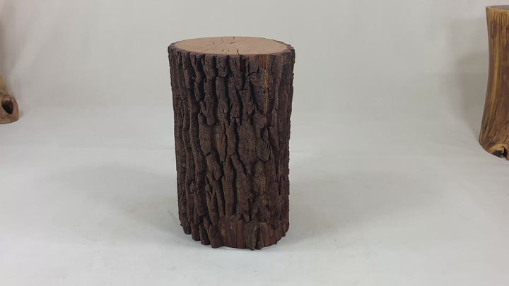 Video of a log side table with bark intact on  a white canvass back drop.