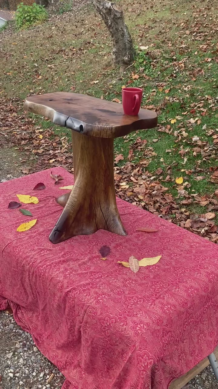 Video of a Black Walnut live edge side table mounted on a Black Walnut tree stump in a fall setting with leaves.
