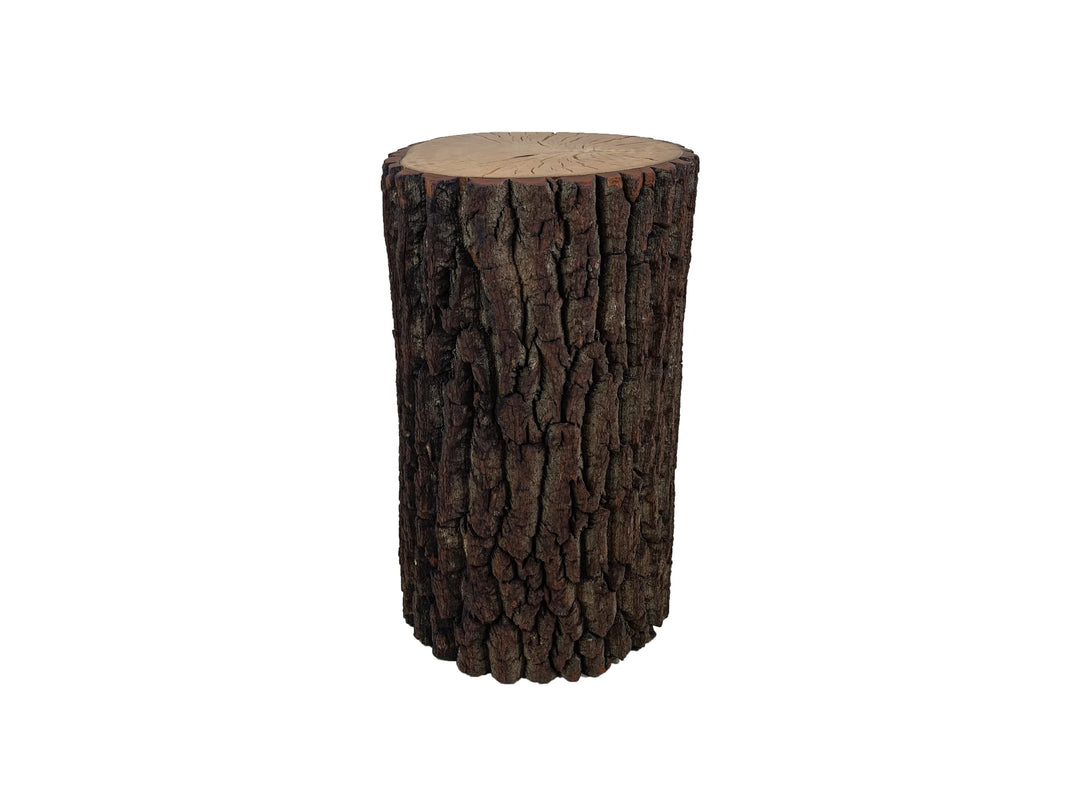 A cylindrical side table made from a natural tree stump with textured dark brown bark and a light tan wood grain top, placed on a white background.